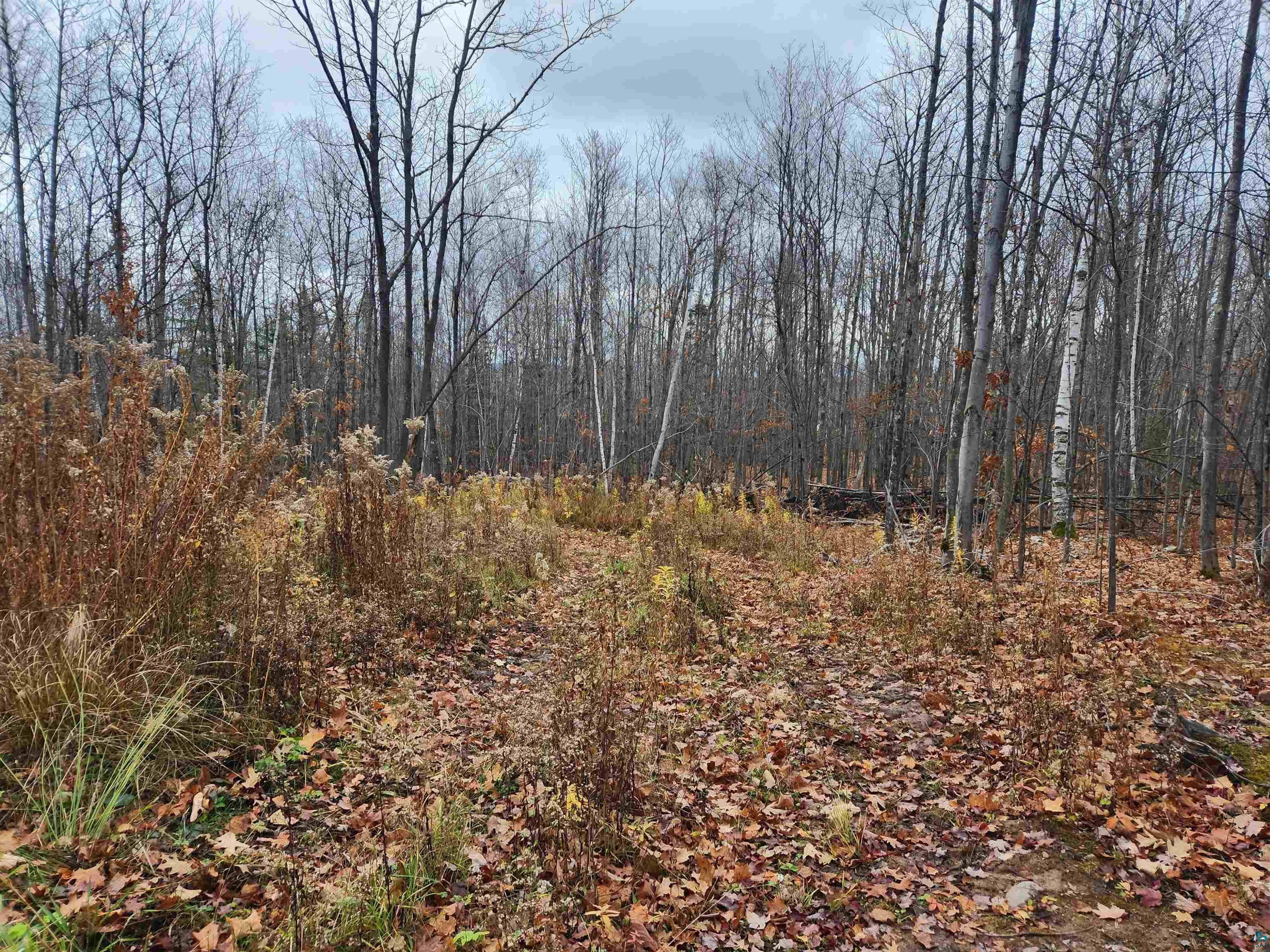 Xxx Little Sand Bay Road Bayfield, WI 54814 - Photo 19 of 23 Gallery Image 19