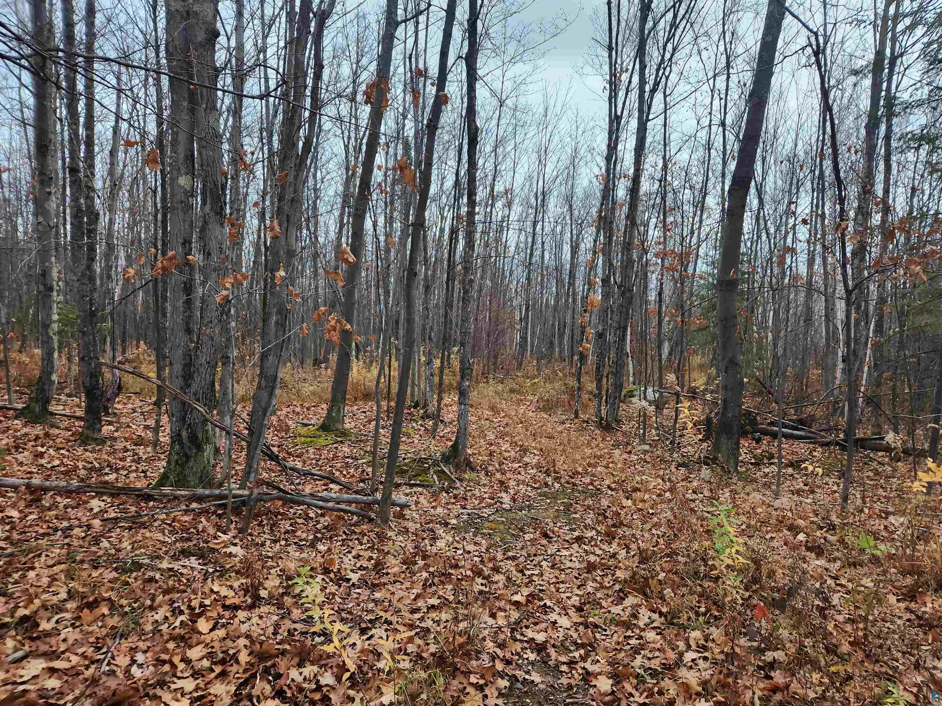 Xxx Little Sand Bay Road Bayfield, WI 54814 - Photo 20 of 23 Gallery Image 20
