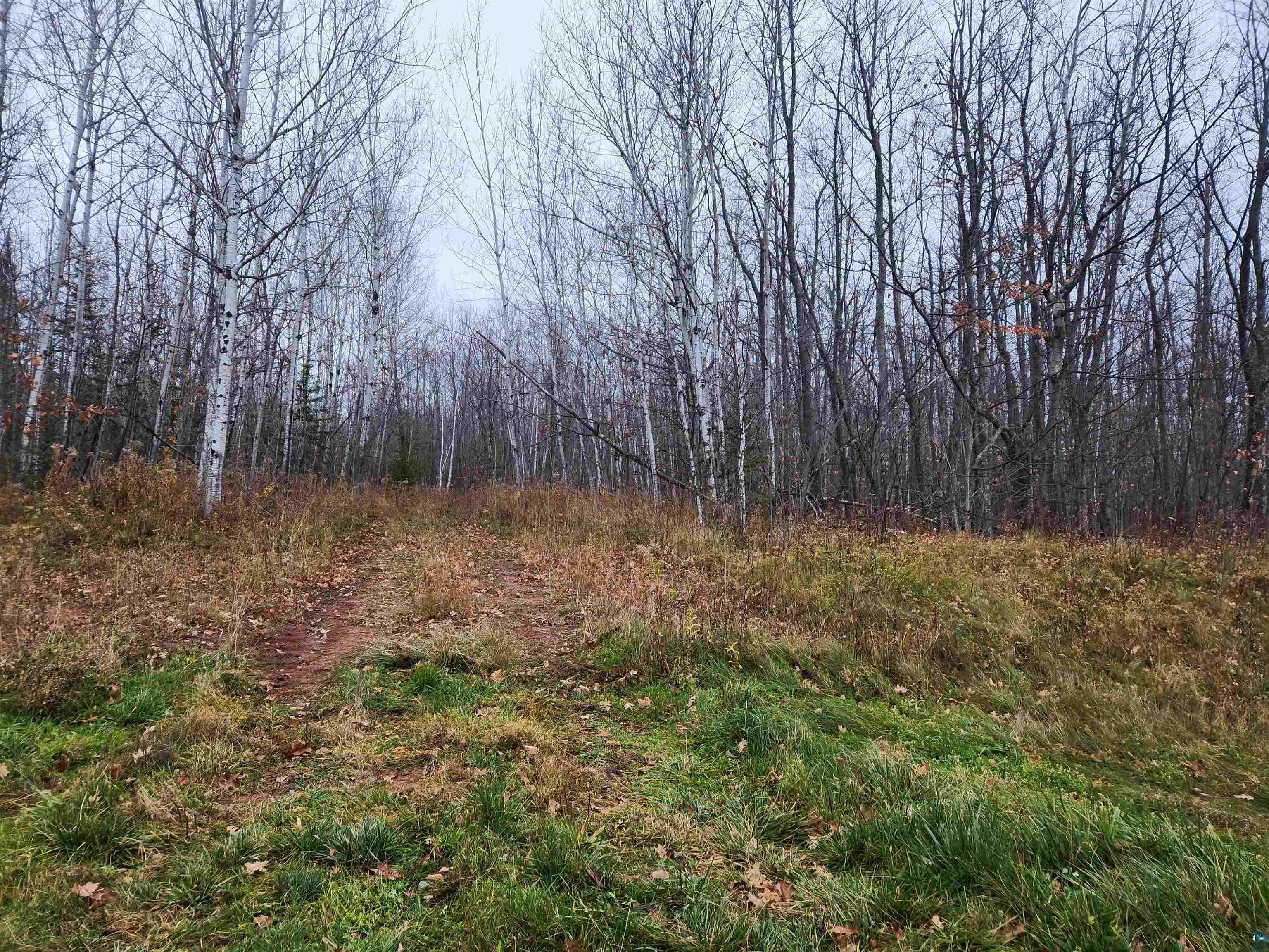 Xxx Little Sand Bay Road Bayfield, WI 54814 - Photo 2 of 23 A gorgeous walk in the woods