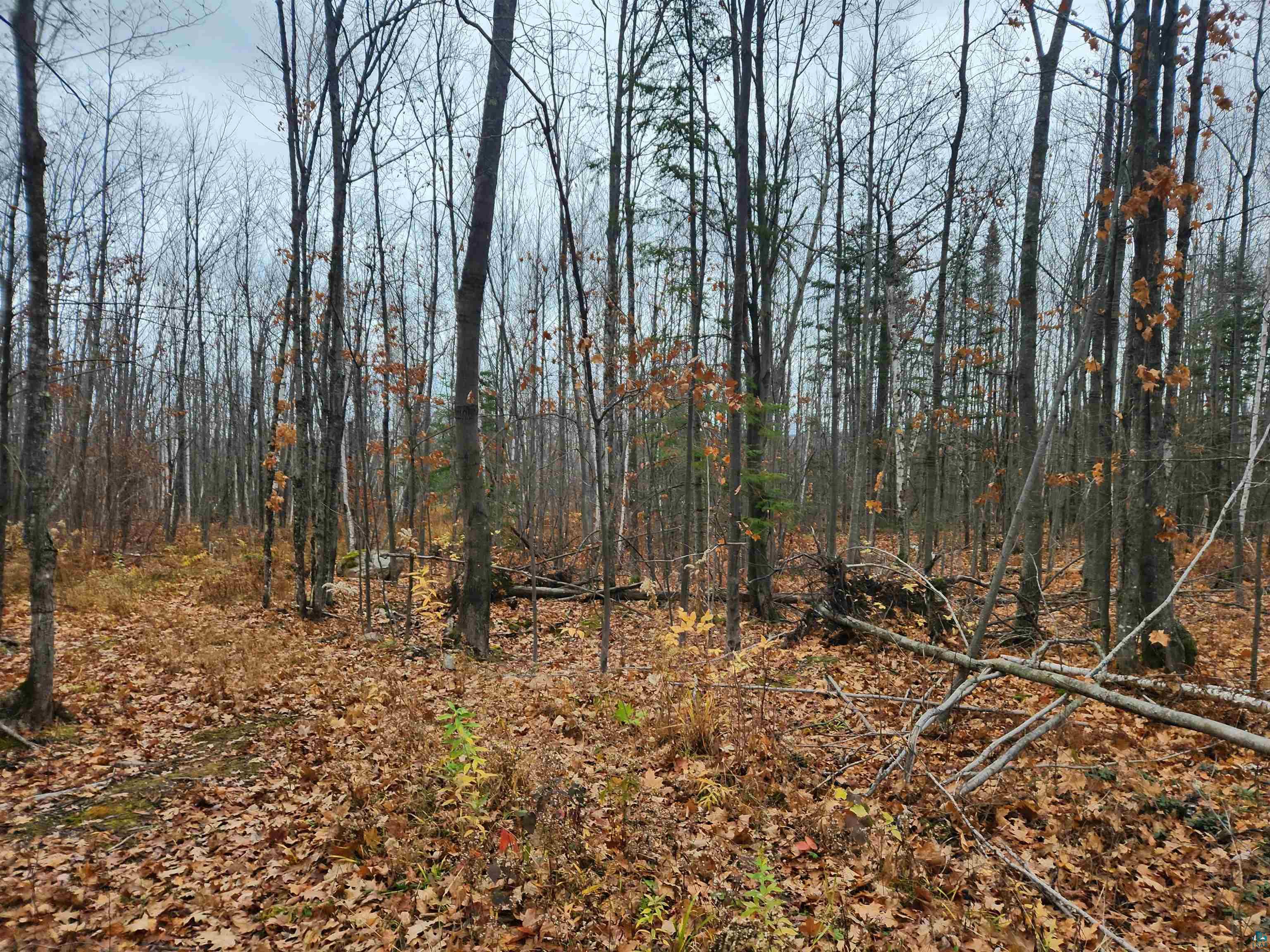 Xxx Little Sand Bay Road Bayfield, WI 54814 - Photo 21 of 23 Gallery Image 21