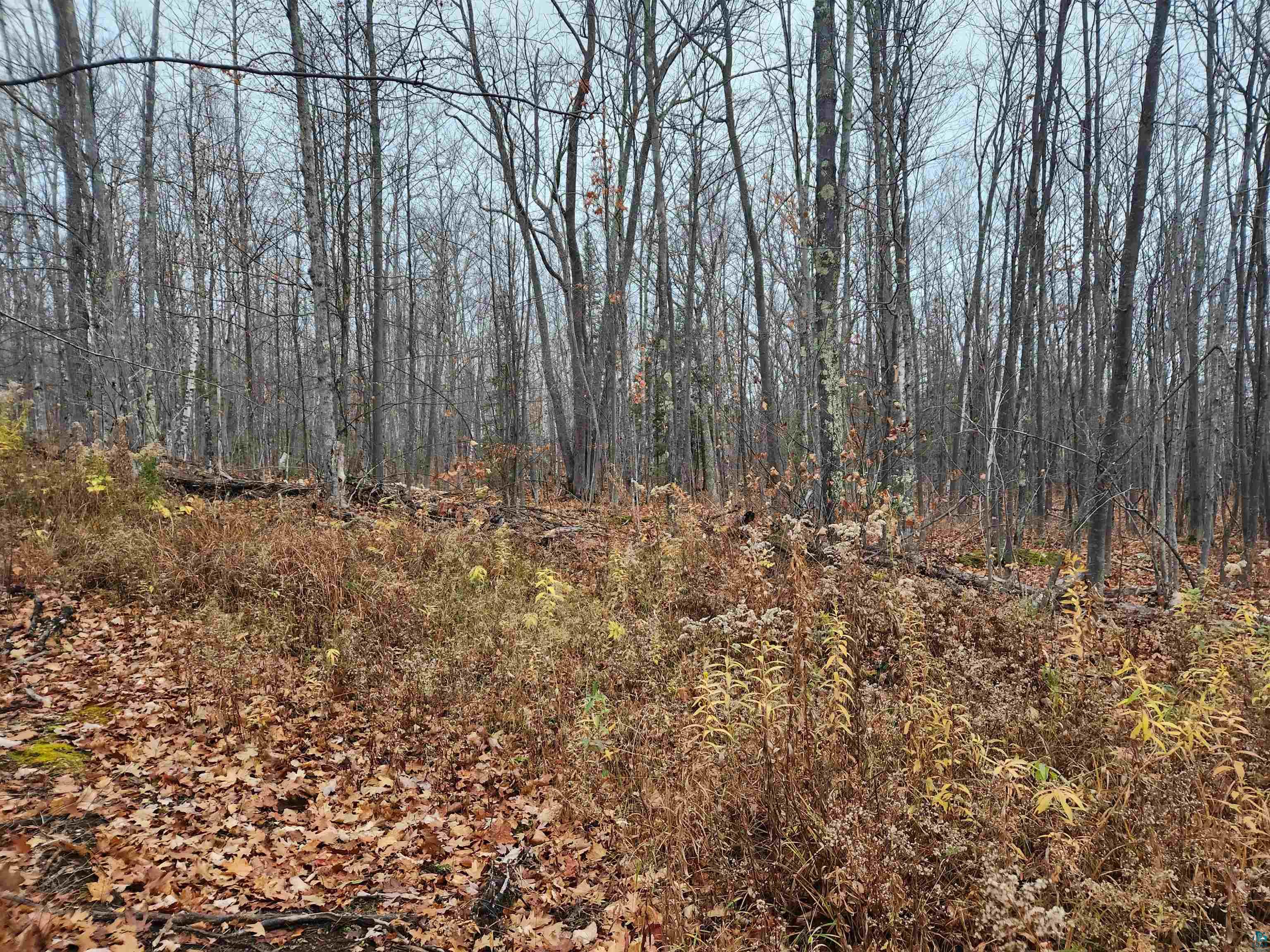 Xxx Little Sand Bay Road Bayfield, WI 54814 - Photo 22 of 23 Gallery Image 22