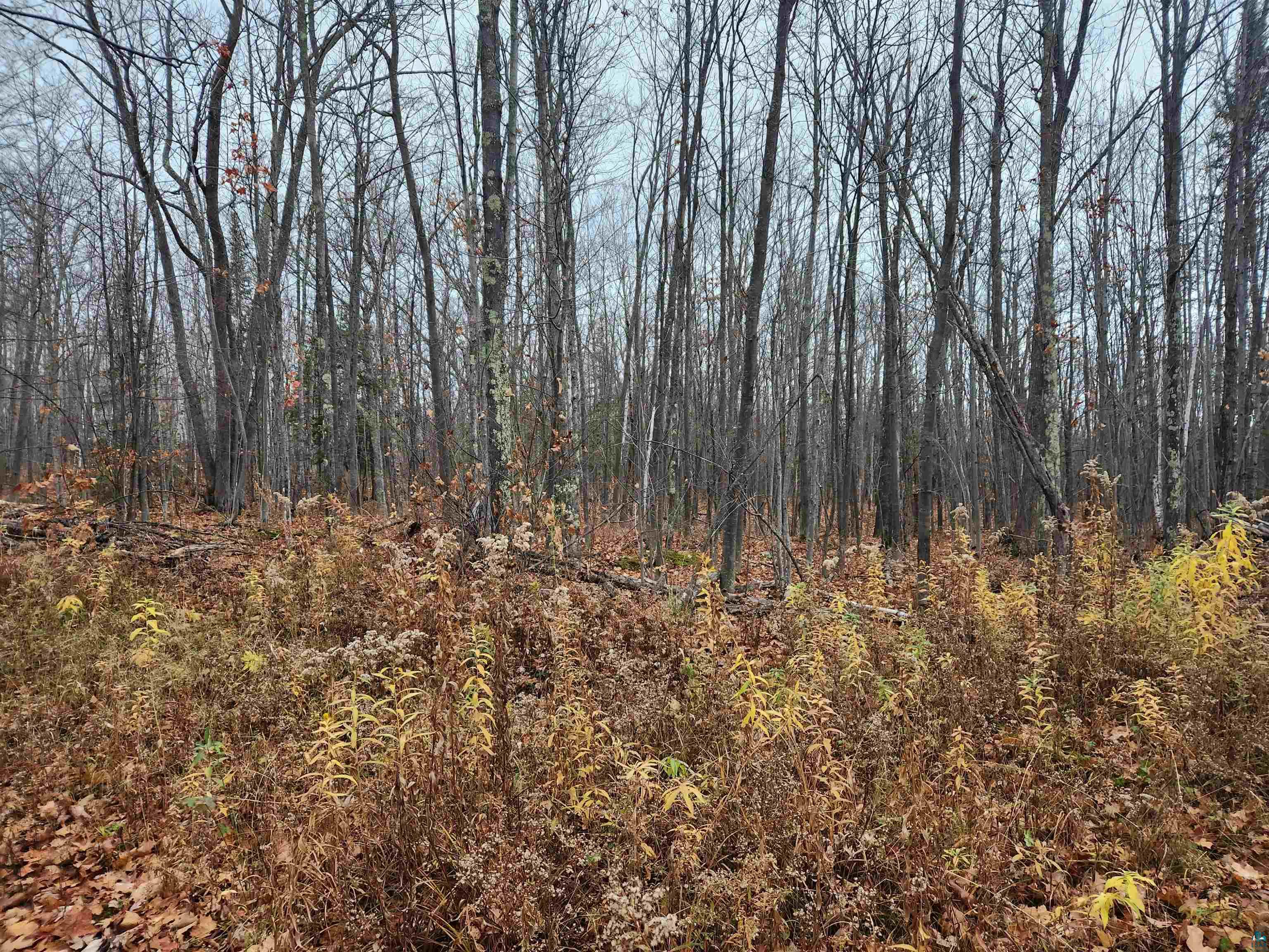 Xxx Little Sand Bay Road Bayfield, WI 54814 - Photo 23 of 23 Gallery Image 23