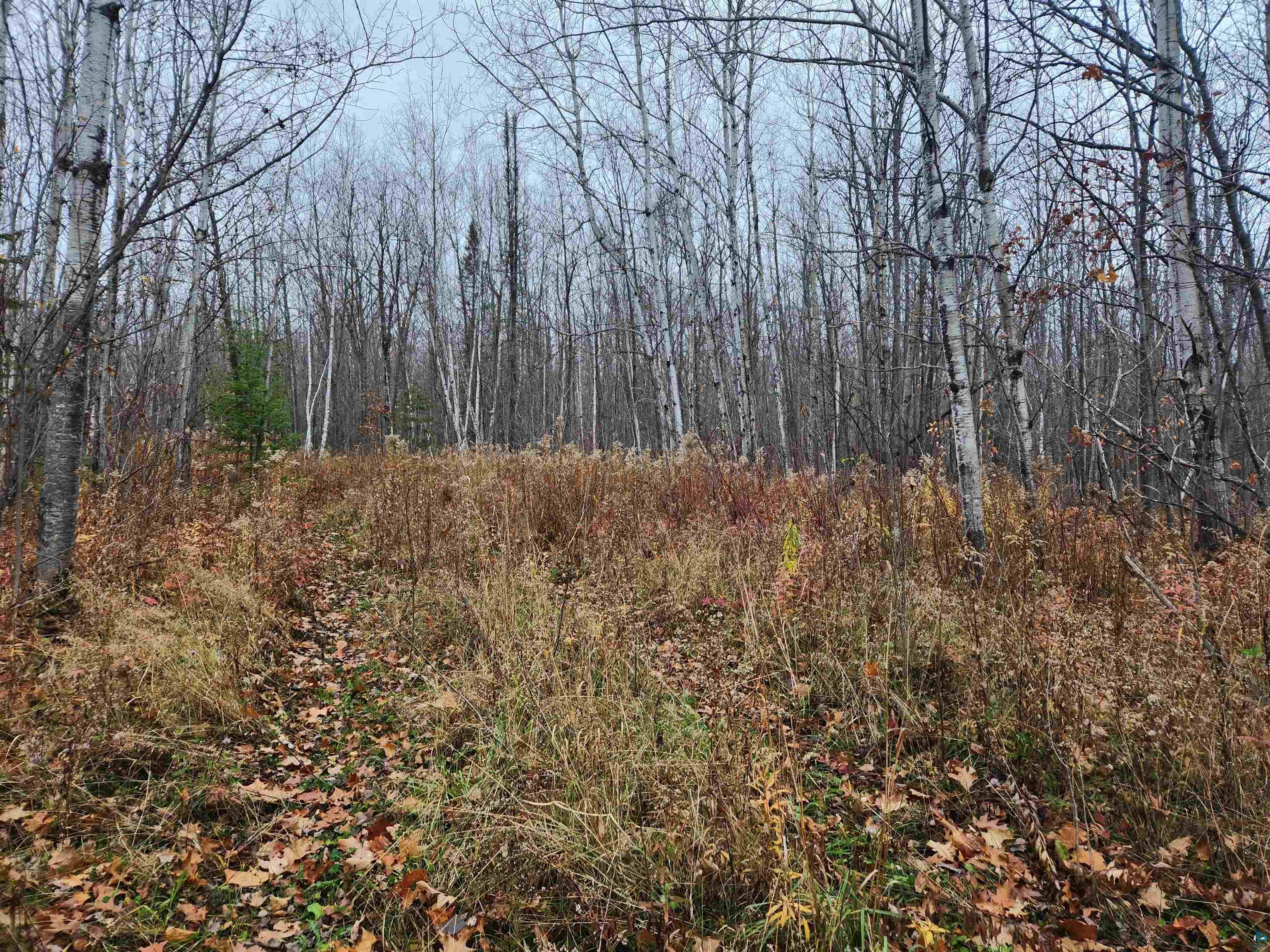 Xxx Little Sand Bay Road Bayfield, WI 54814 - Photo 4 of 23 Gallery Image 4