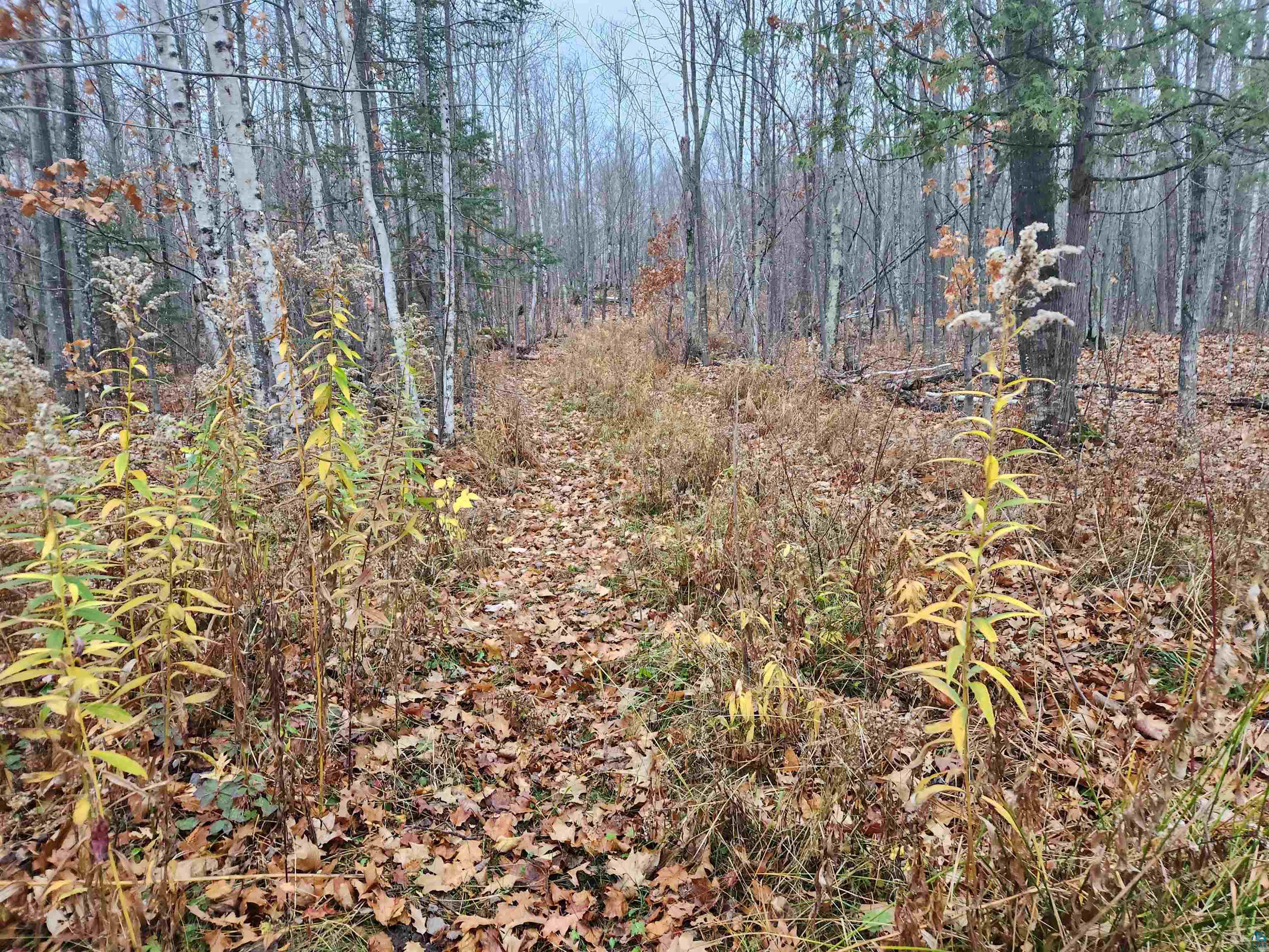 Xxx Little Sand Bay Road Bayfield, WI 54814 - Photo 7 of 23 Gallery Image 7