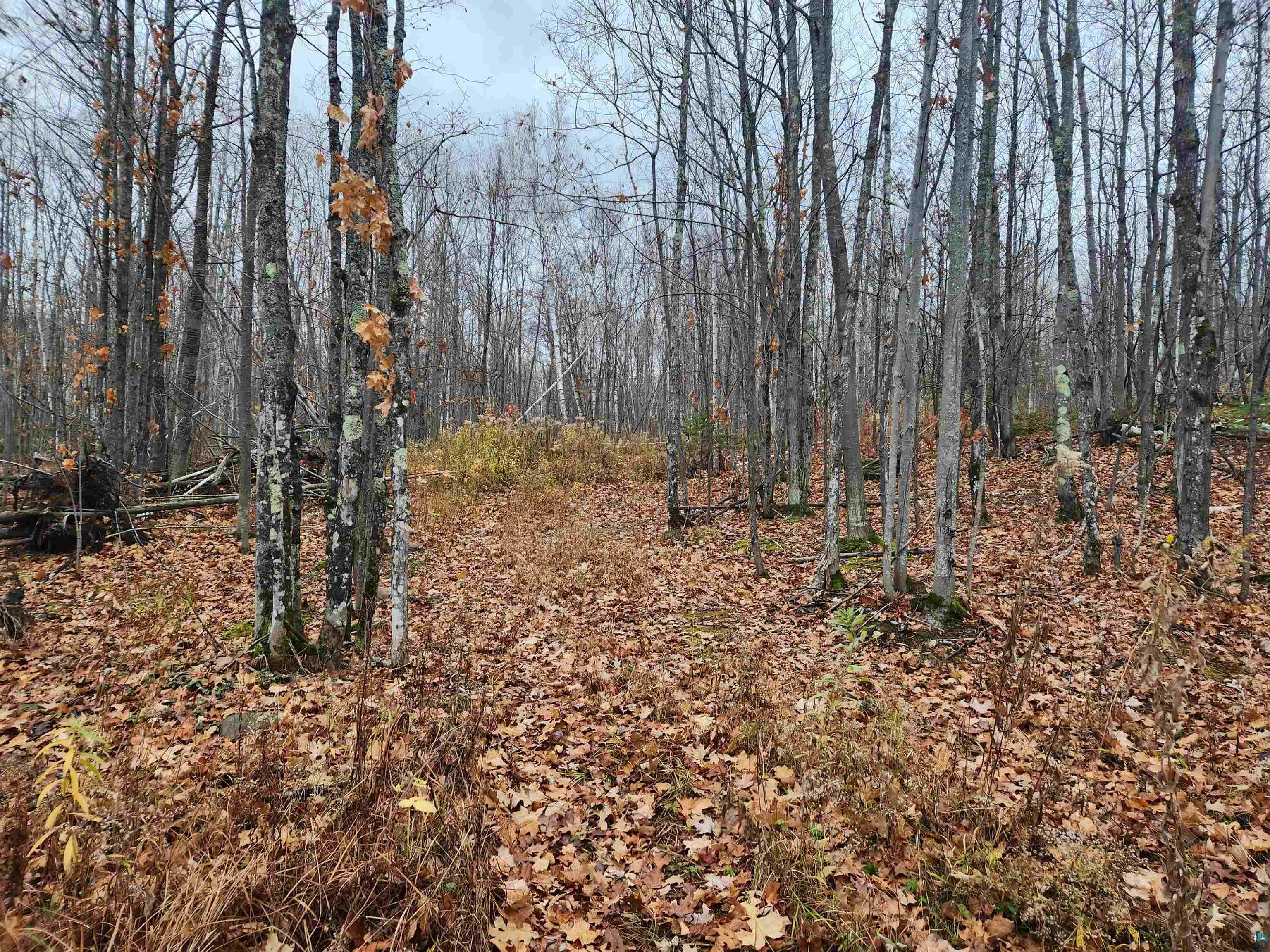 Xxx Little Sand Bay Road Bayfield, WI 54814 - Photo 9 of 23 walking uphill