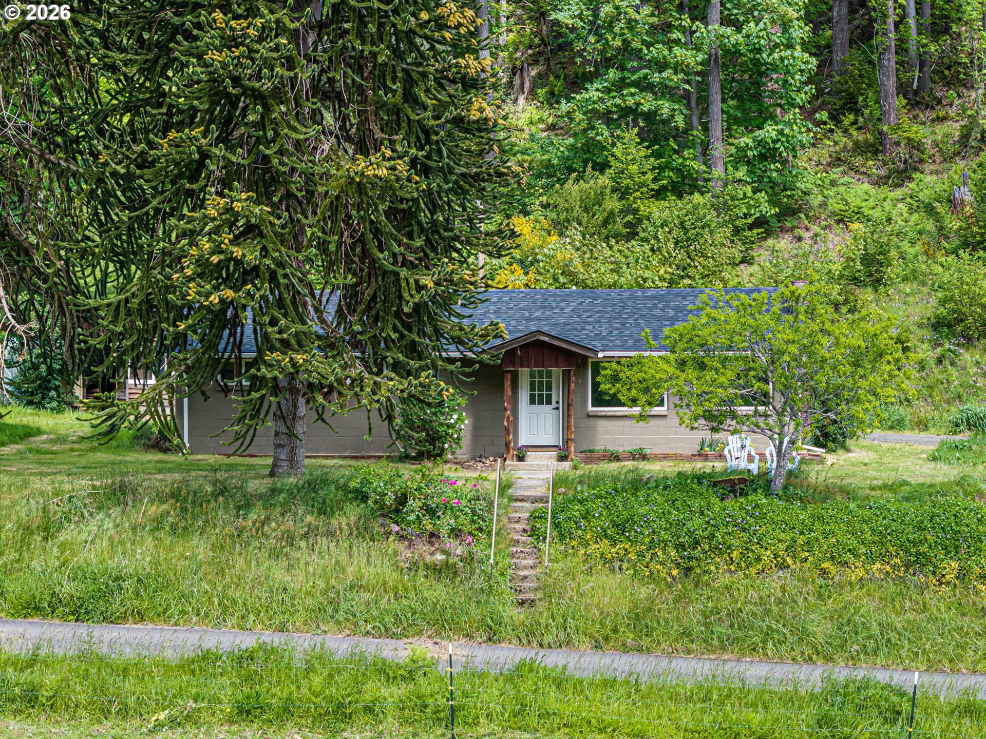 19395 Rust Road Blachly, OR 97412 - Photo 3 of 47
