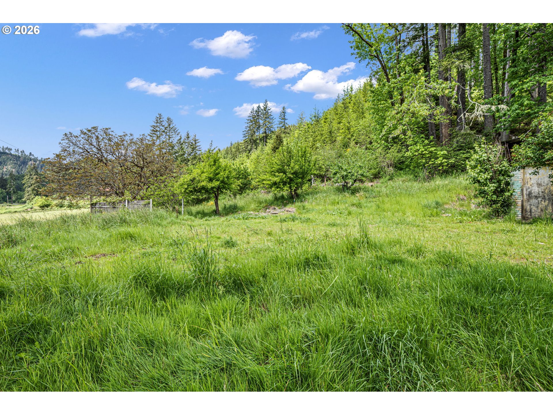 19395 Rust Road Blachly, OR 97412 - Photo 40 of 47