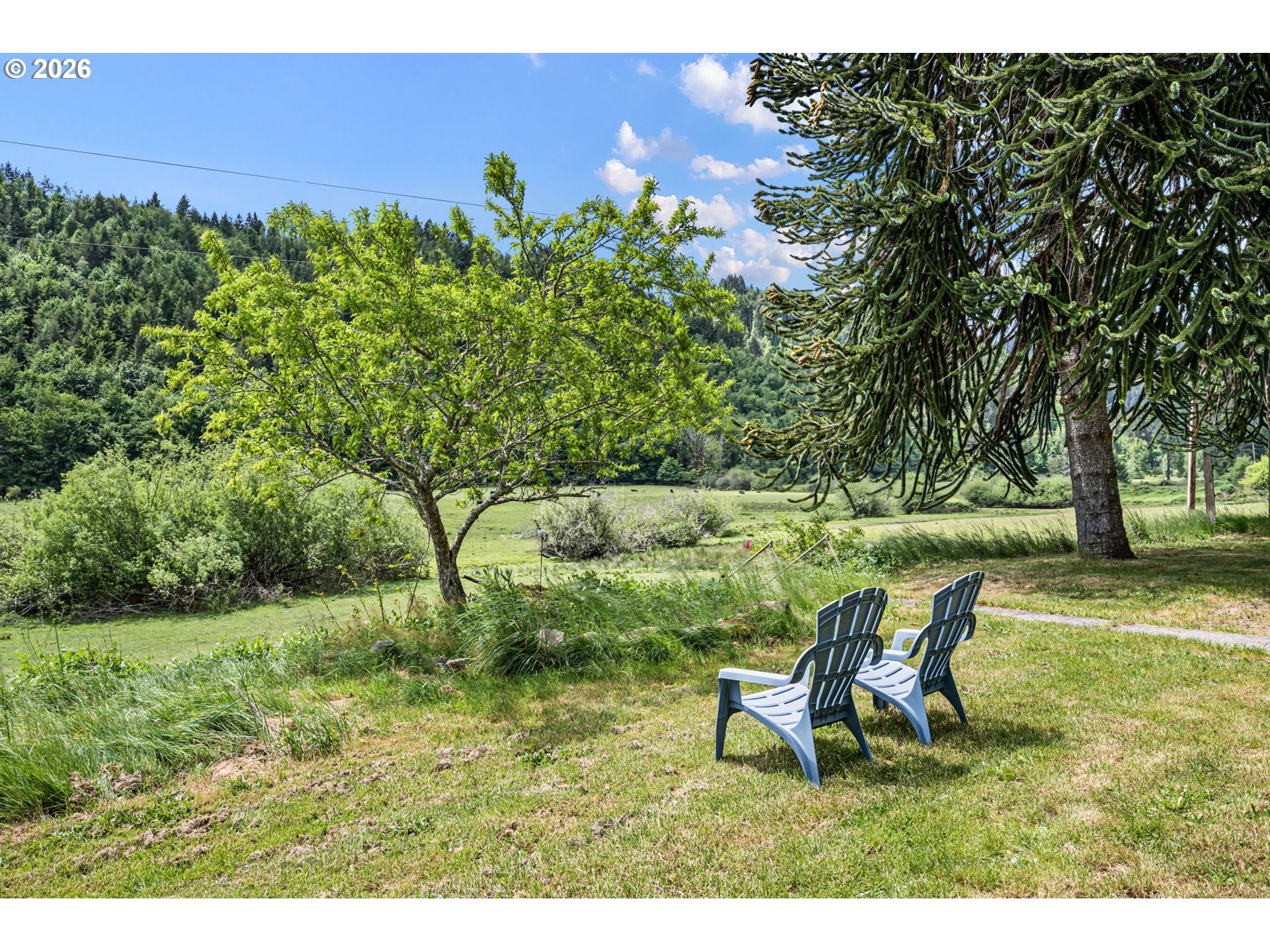 19395 Rust Road Blachly, OR 97412 - Photo 4 of 47