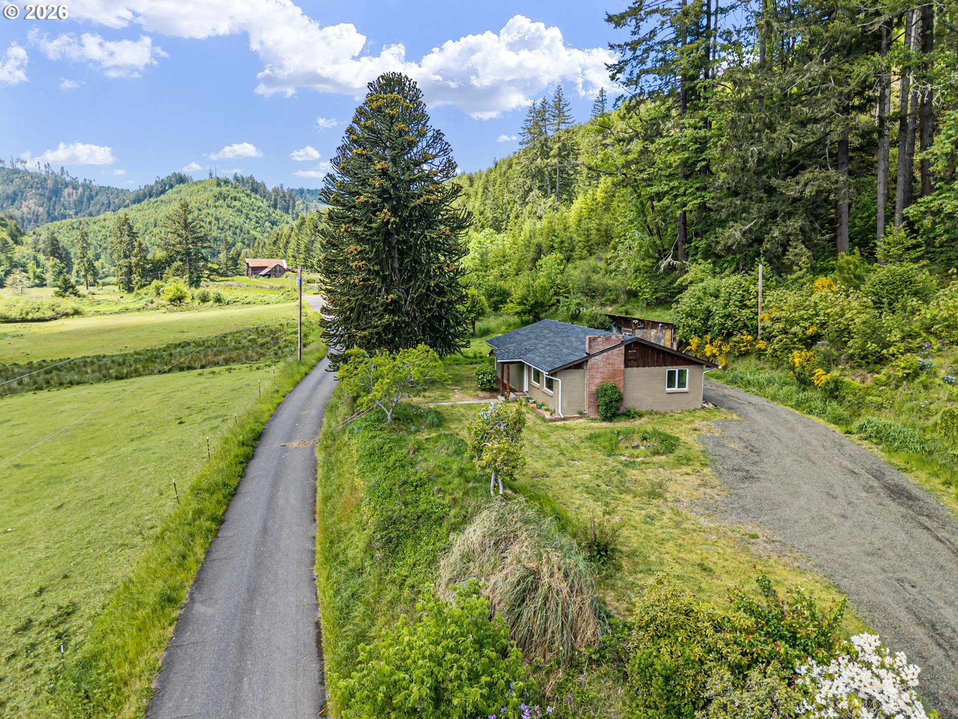 19395 Rust Road Blachly, OR 97412 - Photo 41 of 47