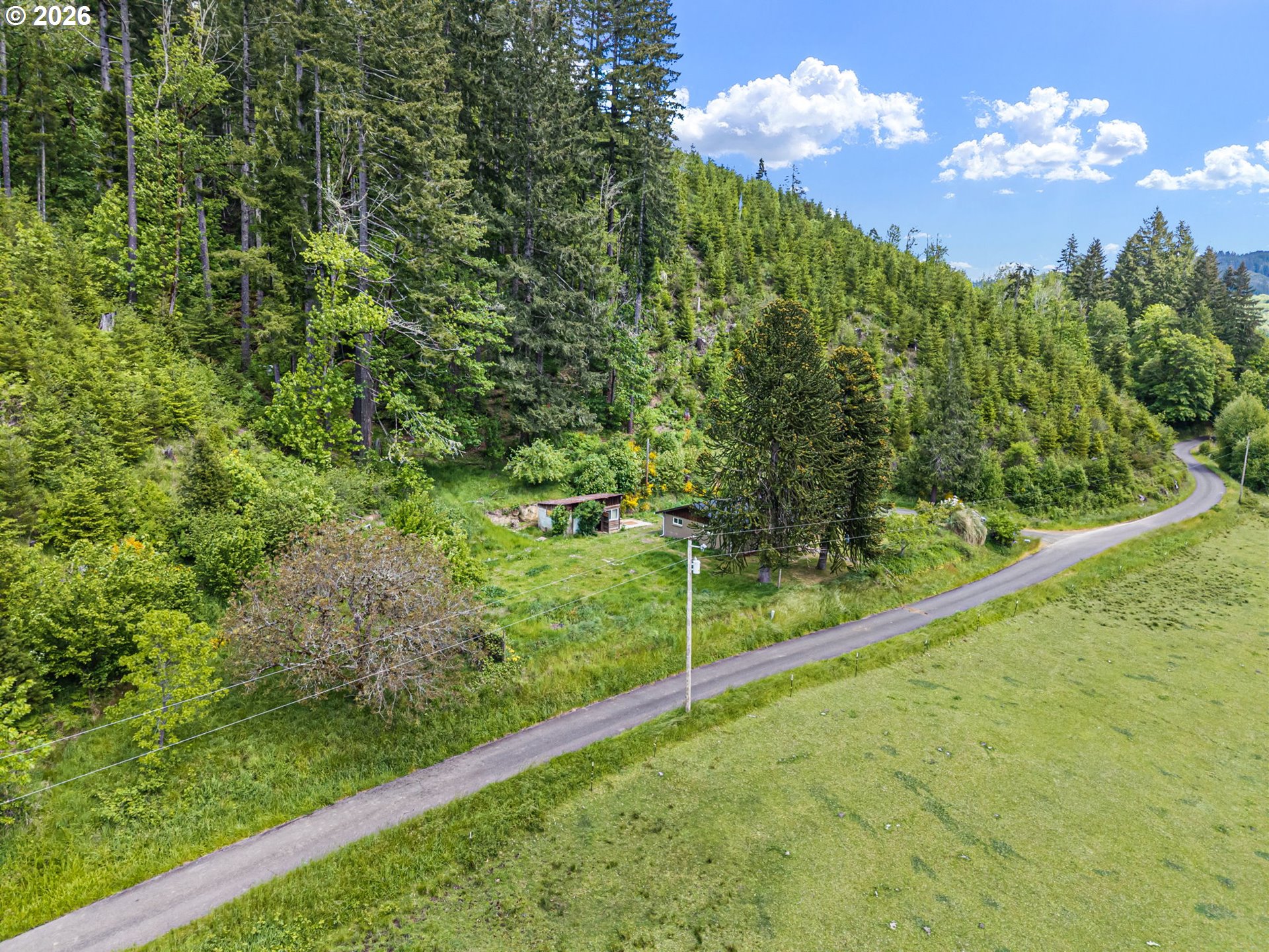 19395 Rust Road Blachly, OR 97412 - Photo 42 of 47