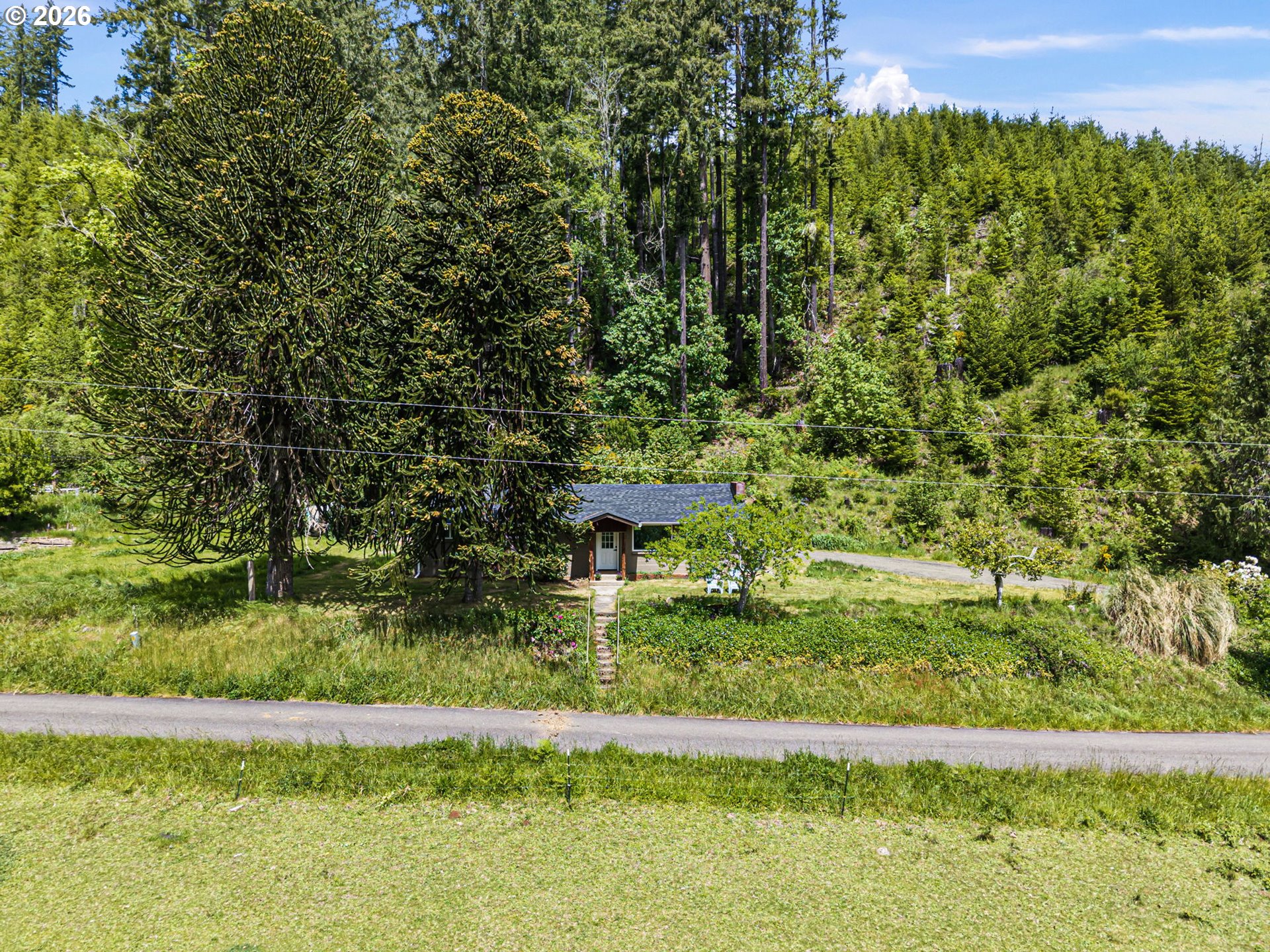 19395 Rust Road Blachly, OR 97412 - Photo 43 of 47