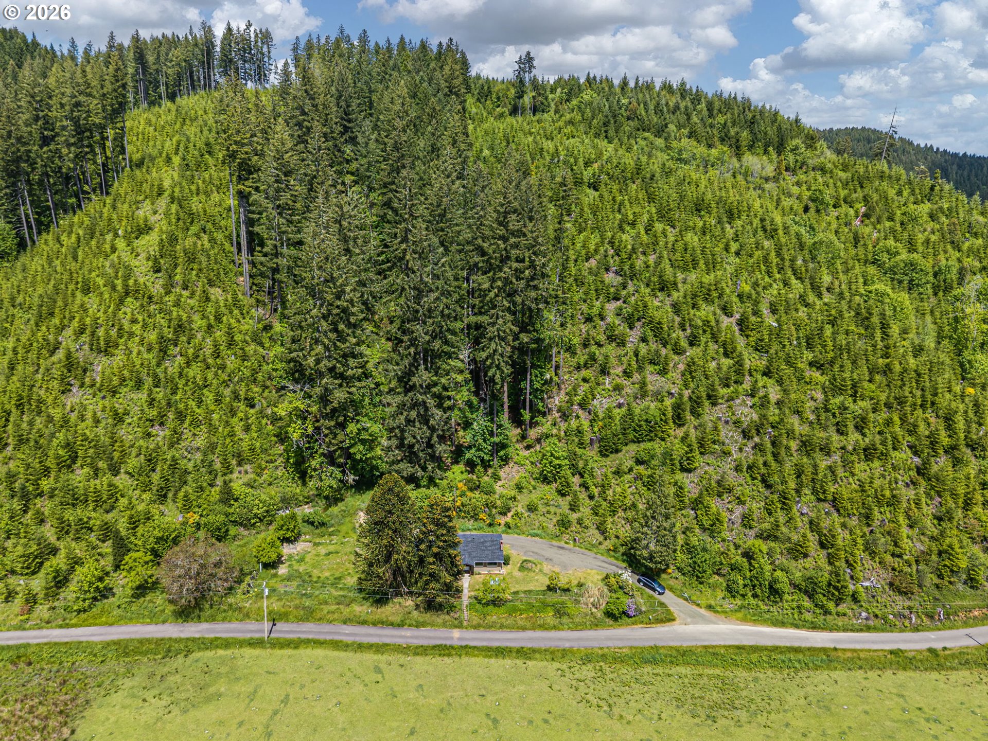 19395 Rust Road Blachly, OR 97412 - Photo 44 of 47