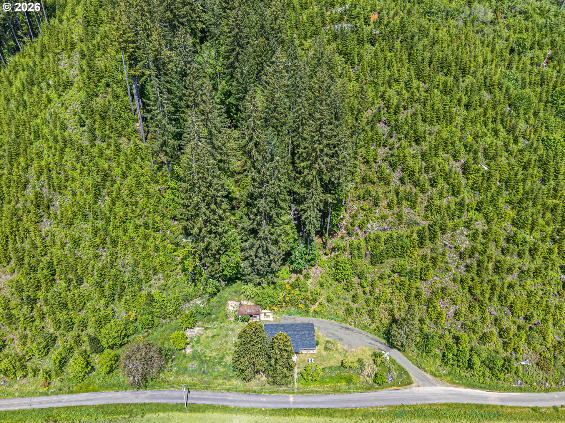 19395 Rust Road Blachly, OR 97412 - Photo 45 of 47