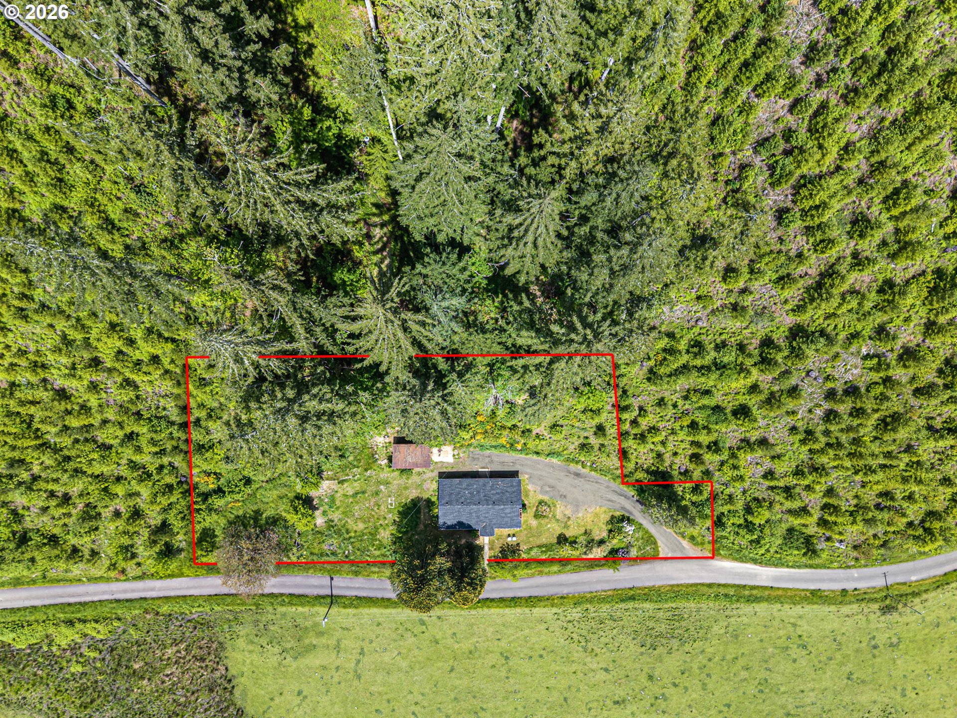19395 Rust Road Blachly, OR 97412 - Photo 5 of 47