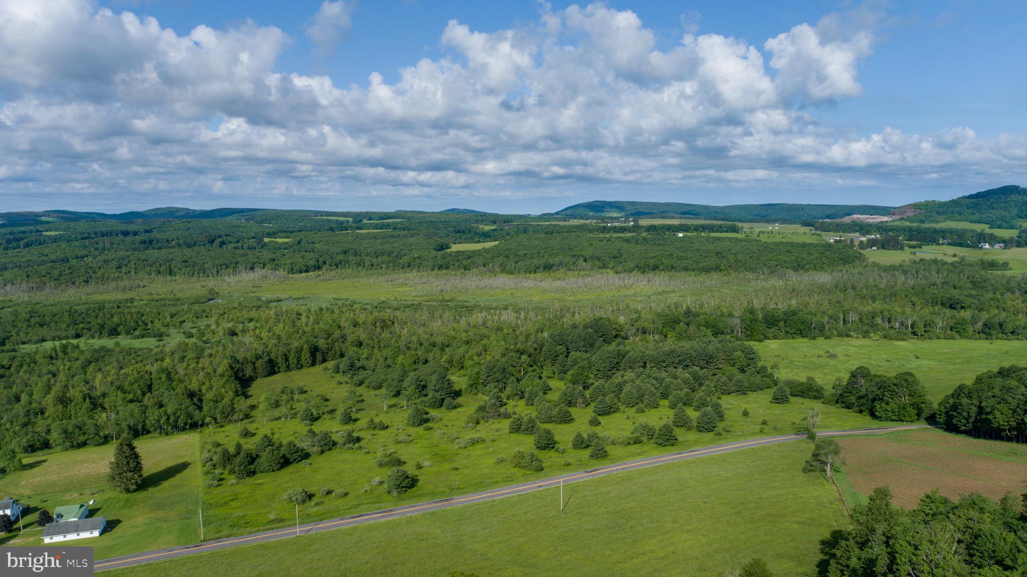 18-acres Cranesville Road Oakland, MD 21550 - Photo 12 of 13 a view of a green field with lots of bushes