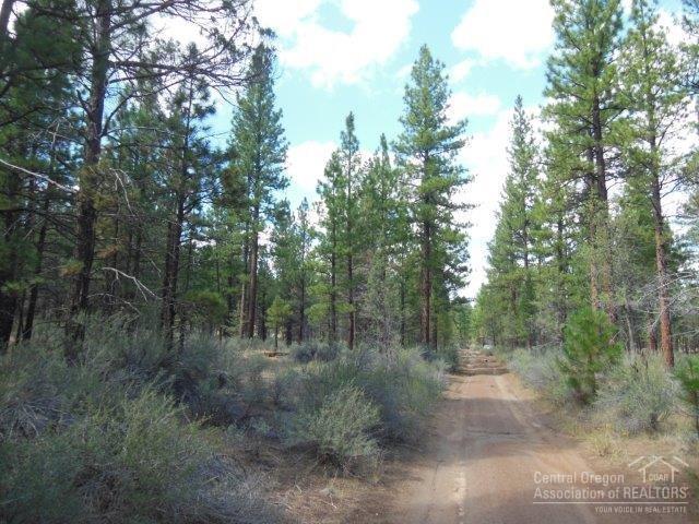 17785 Wilt Road Sisters, OR 97759 - Photo 3 of 25 a view of a forest with trees in the background