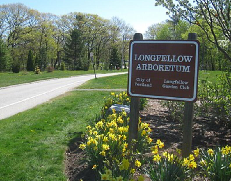 9-11 Bismark Street Portland, ME 04103 - Photo 11 of 17 Longfellow Arboretum - Portland