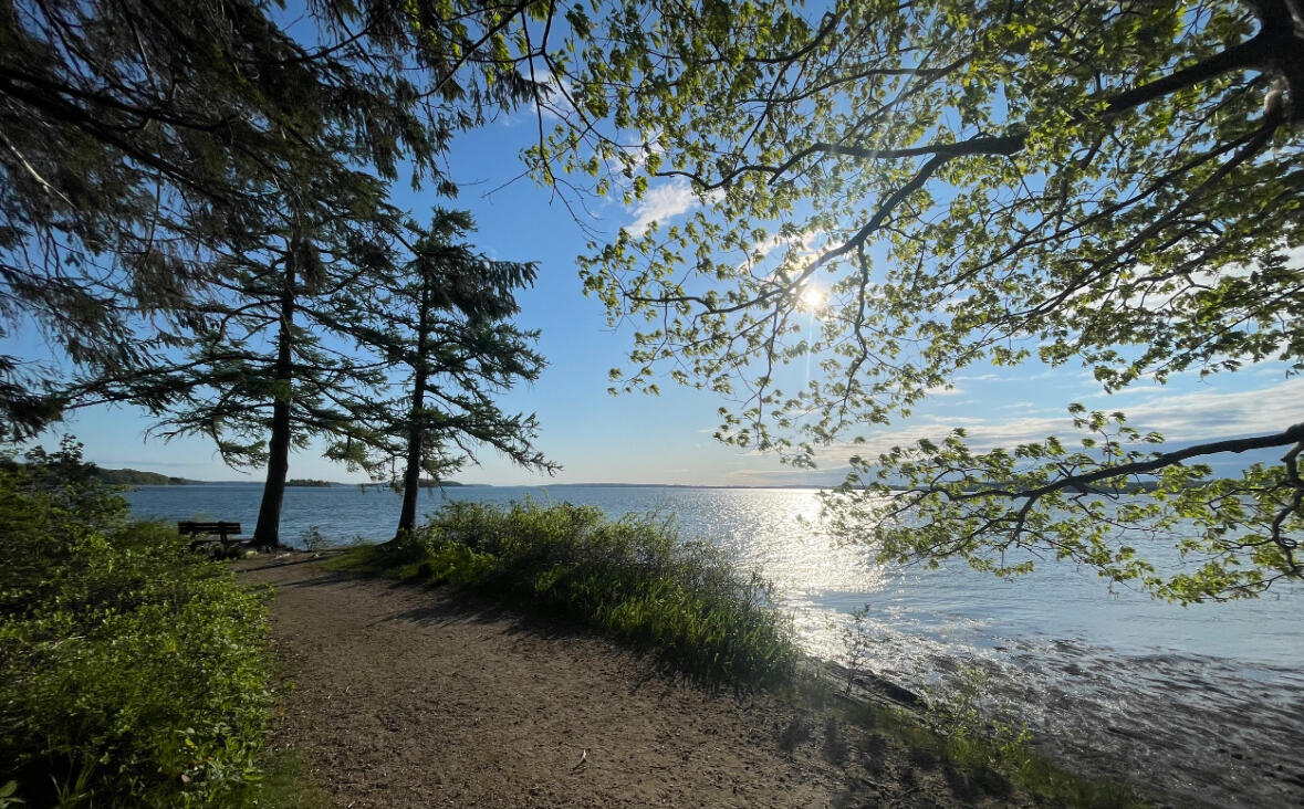 9-11 Bismark Street Portland, ME 04103 - Photo 7 of 17 Mackworth Island Trail