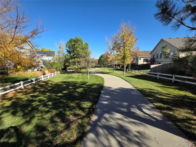 a view of a park with large trees