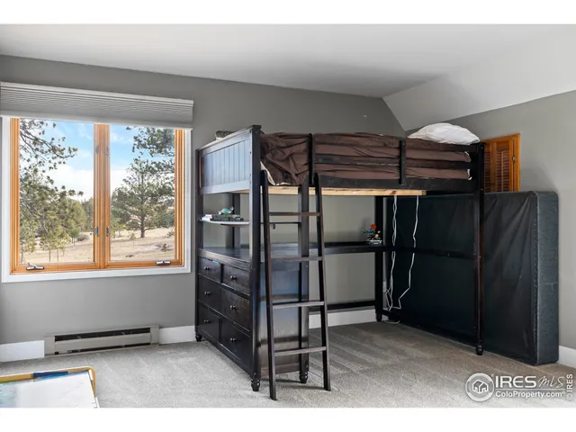 $750,000 | 100 South Cucharas Mountain Court, Livermore, CO 80536