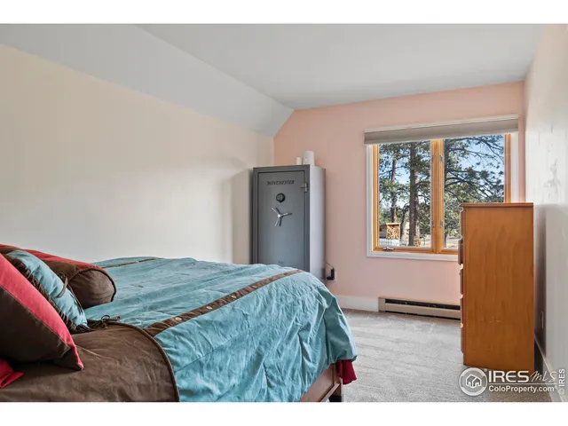 $750,000 | 100 South Cucharas Mountain Court, Livermore, CO 80536