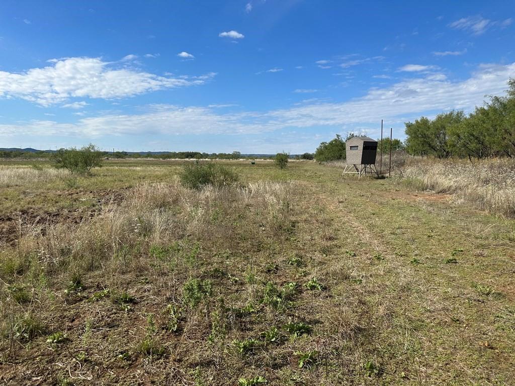 5472 Fm-126 Merkel, TX 79536 - Photo 16 of 22 View of local wilderness featuring a rural view