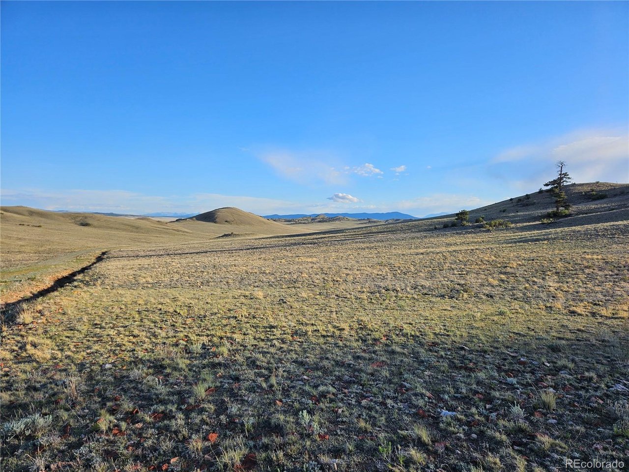 24142 Antero Road Hartsel, CO 80449 - Photo 47 of 48