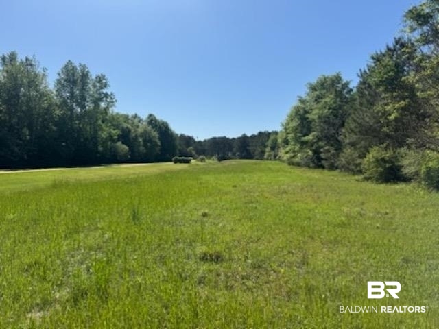 0 Clearview Road Flomaton, AL 36441 - Photo 2 of 6 View of nature featuring a view of trees and a rural view