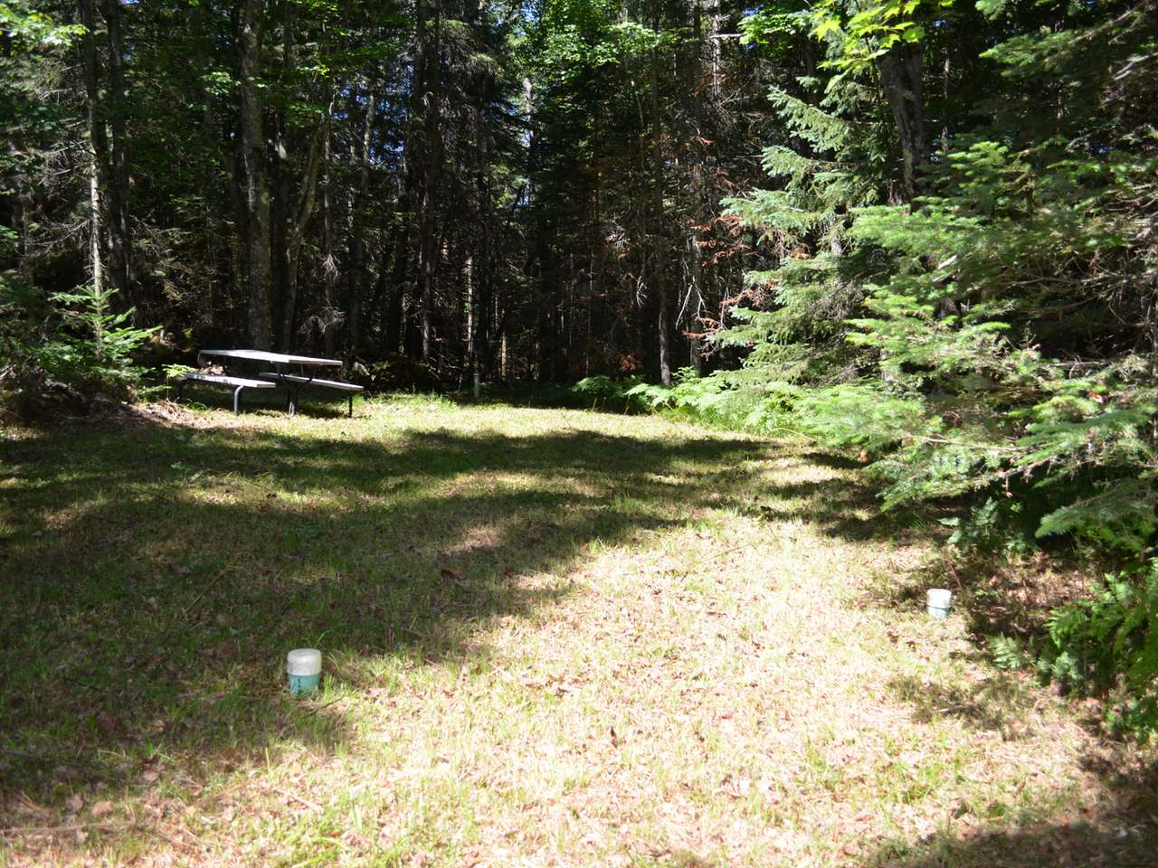 N10928 Mail Rte Road Tomahawk, WI 54487 - Photo 3 of 22 Gallery Image 3