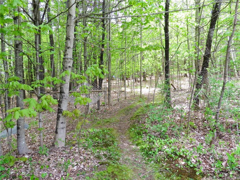 6 Besse Road Wayne, ME 04284 - Photo 7 of 33 Groomed trails on this 4.5 acre...