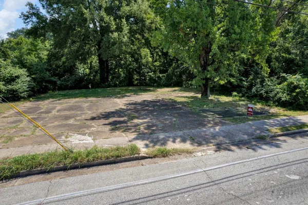 a view of a yard with a tree