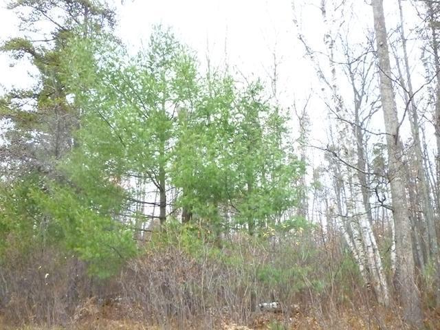 Lot 1 Glyn Road Woodruff, WI 54568 - Photo 2 of 9 Gallery Image 2