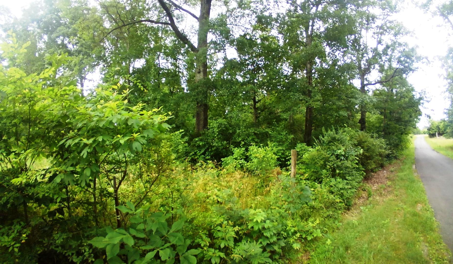 Lot 17 Smelcer Road, Unit 17 Mohawk, TN 37810 - Photo 4 of 5 New Smelcer Rd 7b