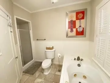 a bathroom with a toilet and a shower