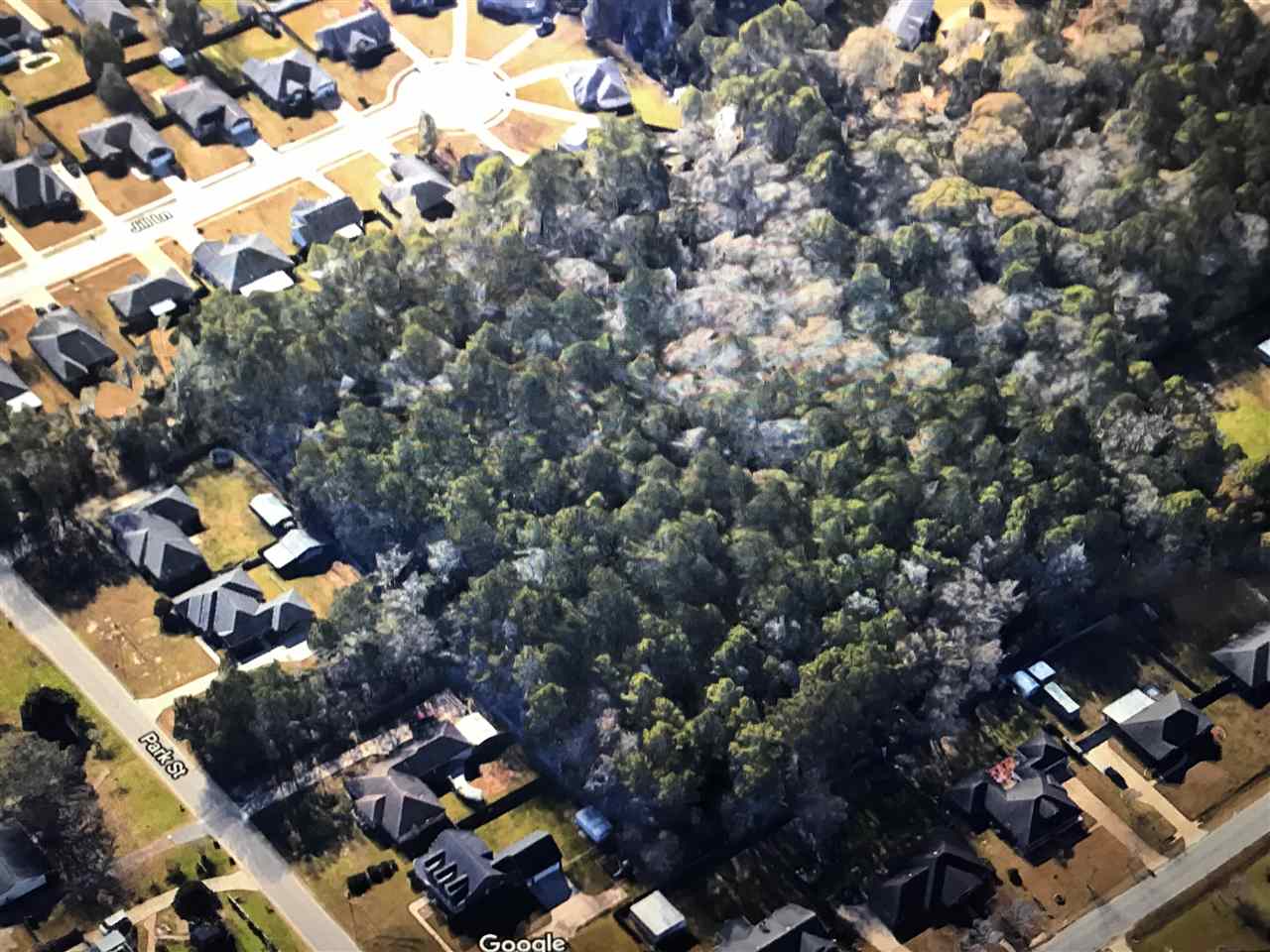 0 Park Street Satsuma, AL 36572 - Photo 3 of 6 Overview