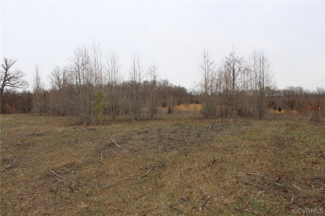 99999 Locust Grove Road Cumberland, VA 23040 - Photo 5 of 6 Gallery Image 5