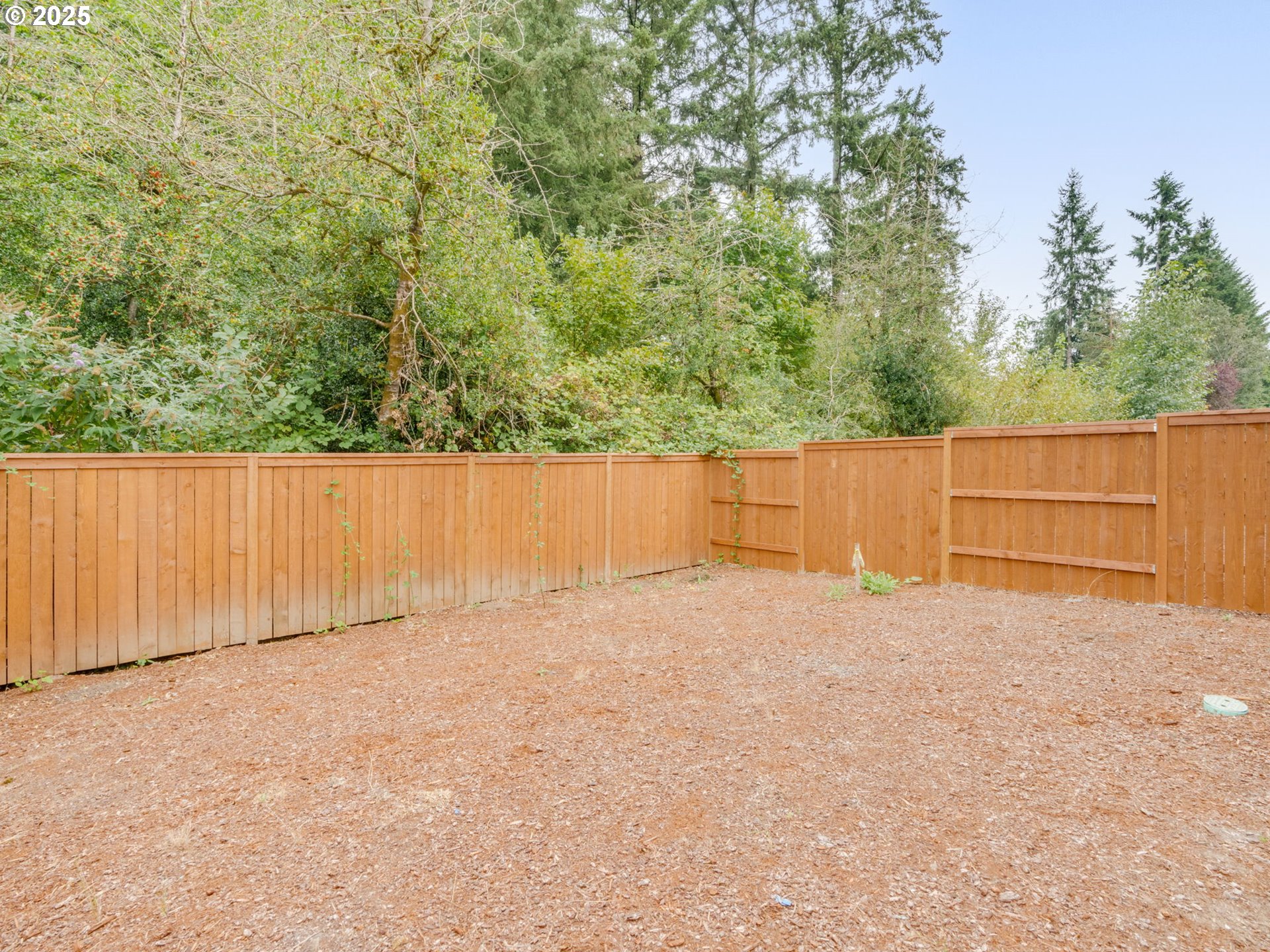 2125 Southwest 5th Place Battle Ground, WA 98604 - Photo 36 of 36 view of backyard