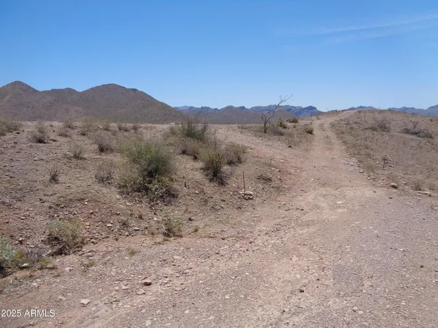 a view of a dry yard with mountains in the background