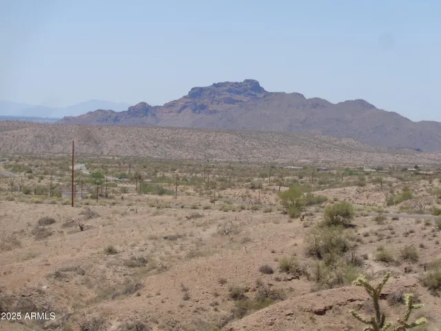 a view of a dry field with mountains in the background