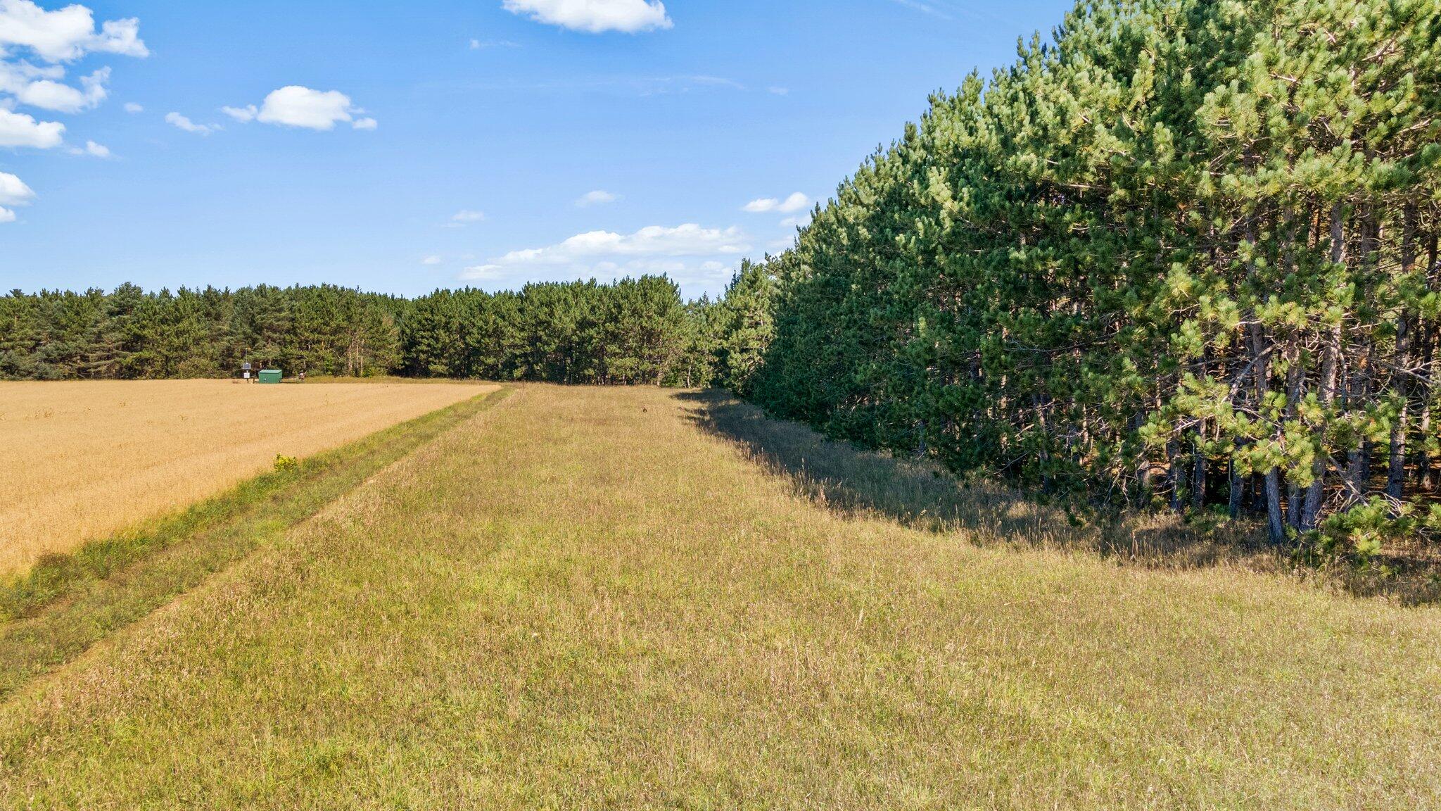 Krys Road Gaylord, MI 49735 - Photo 20 of 23 Gallery Image 20