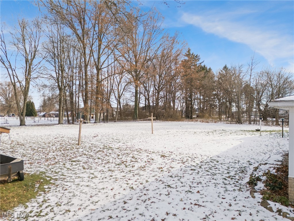 14965 Seacrist Road Salem, OH 44460 - Photo 32 of 43 Yard layered in snow featuring volleyball court and view of wooded area