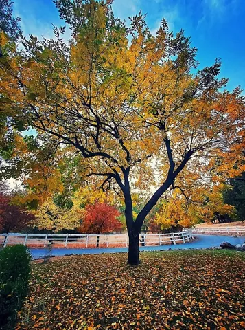 a car parked in front of a house