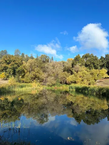 a view of a house with backyard and garden