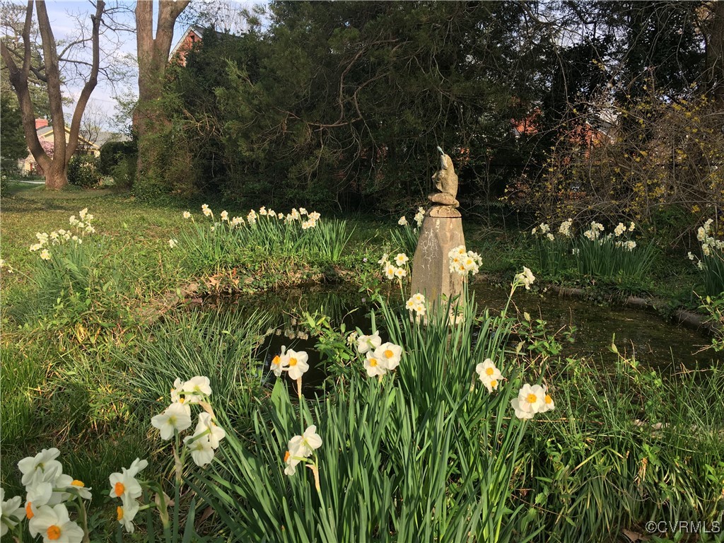 4101 Crestwood Road Richmond, VA 23227 - Photo 48 of 48 a plant that is in a garden
