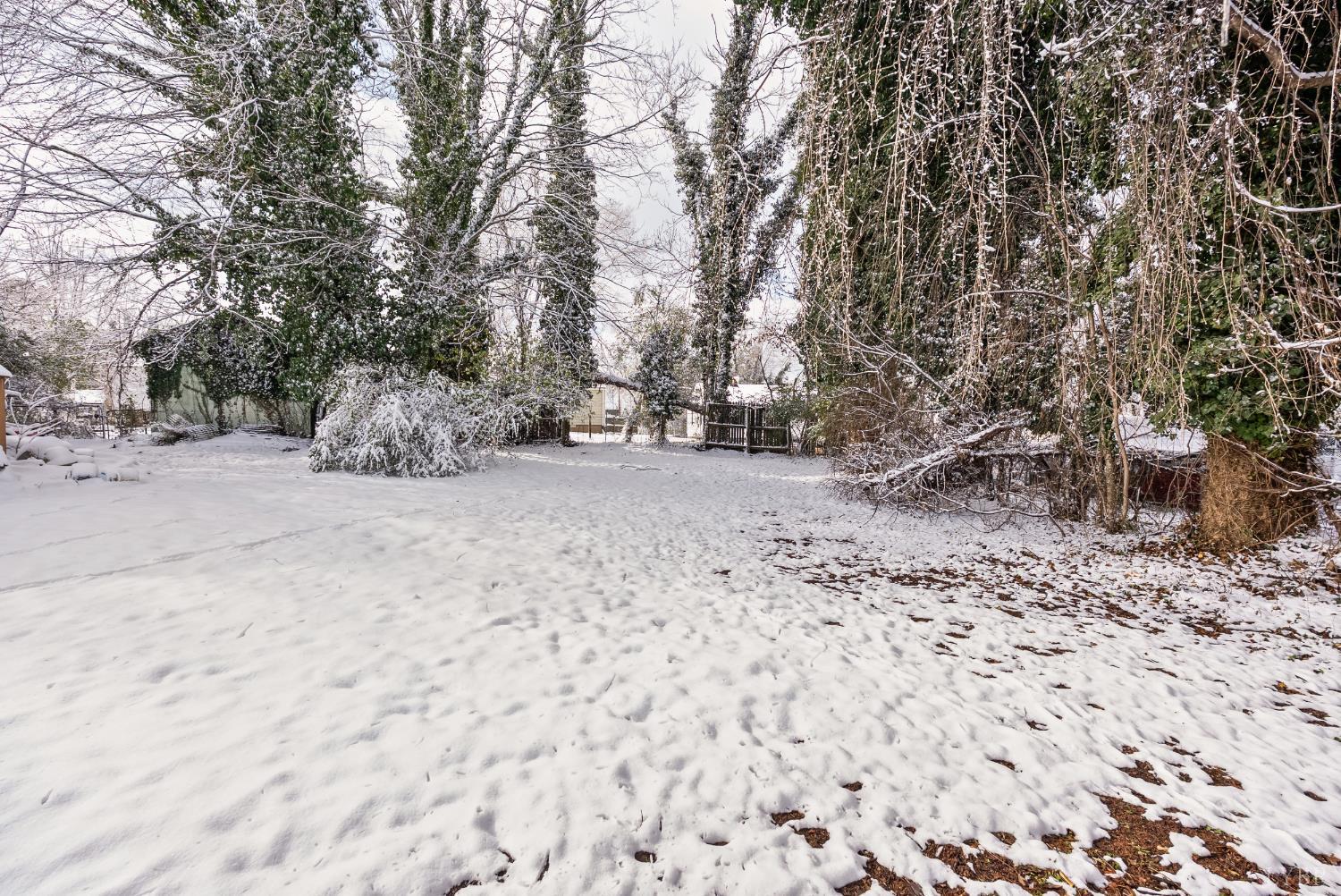 1209 Shirley Road Lynchburg, VA 24502 - Photo 20 of 27 a view of a covered with snow in the background