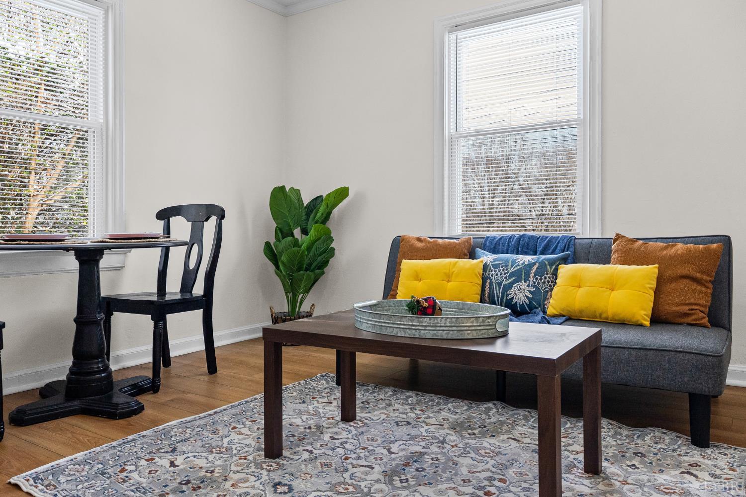 1209 Shirley Road Lynchburg, VA 24502 - Photo 7 of 27 a living room with furniture and a potted plant