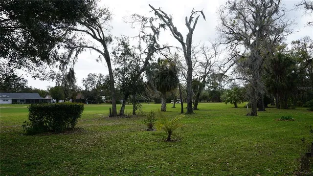 a view of a park with large trees