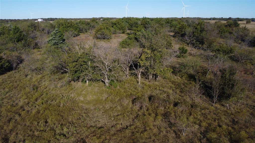 0 County Road 3363 Mount Calm, TX 76673 - Photo 15 of 24 a view of a field