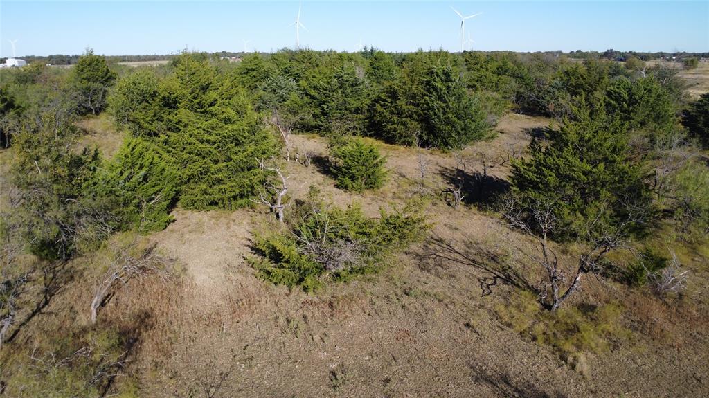 0 County Road 3363 Mount Calm, TX 76673 - Photo 16 of 24 a view of a forest with a forest