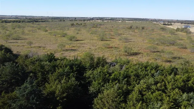 an aerial view of mountain with trees